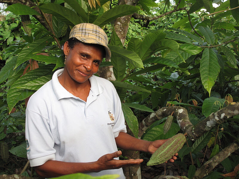 Ecuador escuela campo cacao promotora