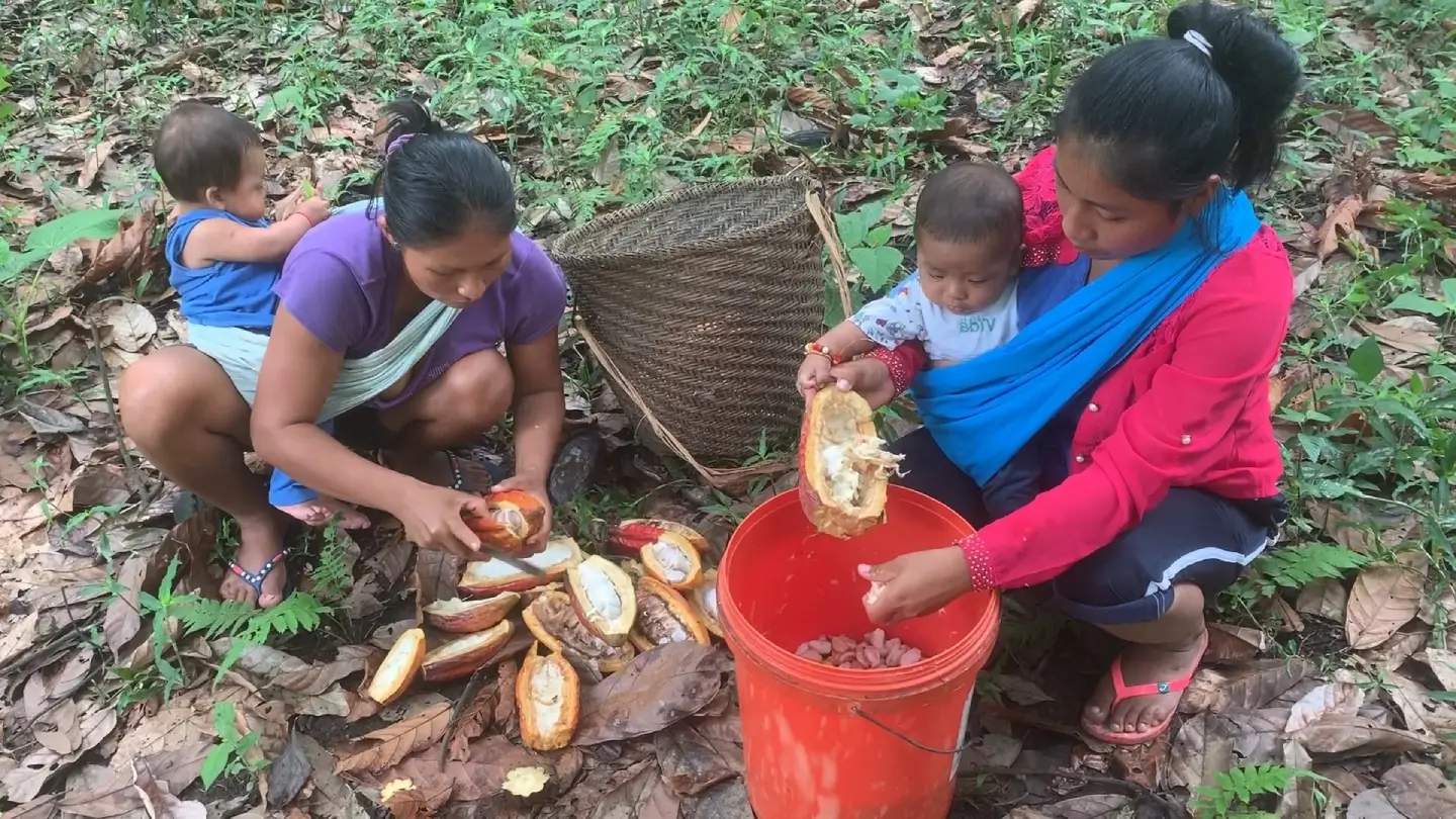 Desarrollo del negocio de chocolate de la AMWAE, Ecuador