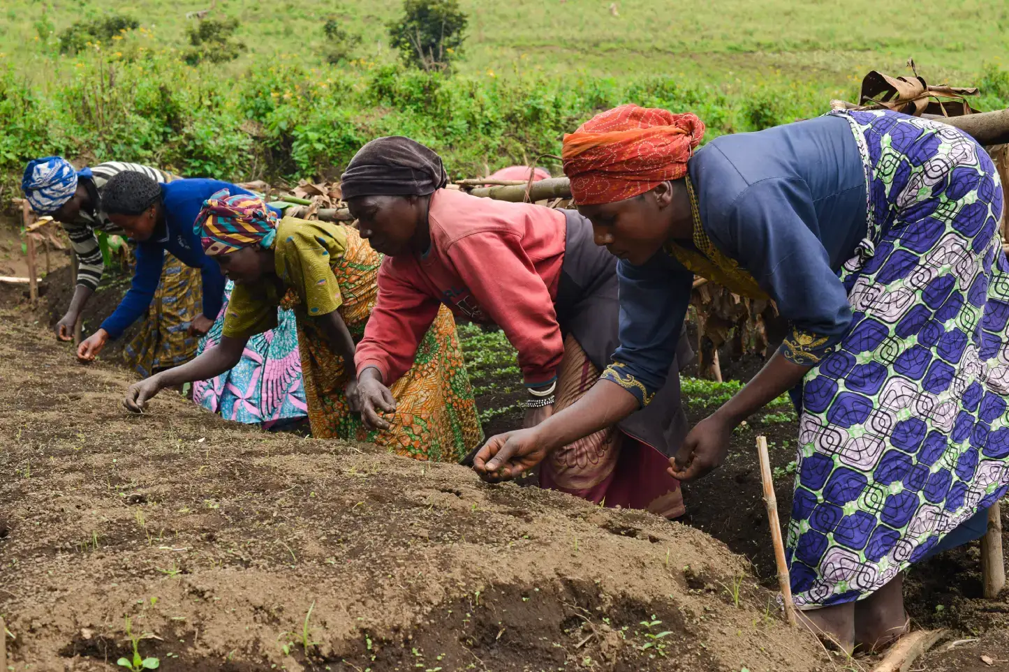 Semillas para luchar contra el hambre en el altiplano de Angola