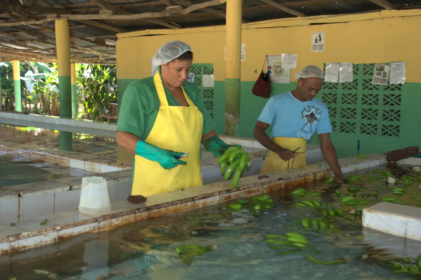 Promoción de la competitividad de microempresas, RDomincana