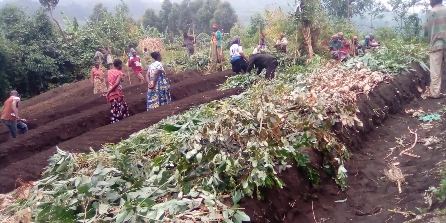 Desarrollo de mercados rurales de comunidades pobres, RDCongo