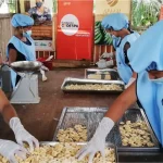 proyecto-social-codespa-emprendimiento-economia-circular-platano-peru