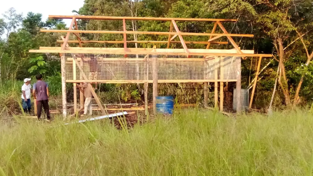 proyecto-social-codespa-comunidad-waorani-Kenaweno-galpón
