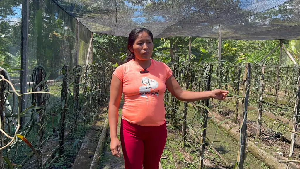 proyecto-social-codespa-vivero-waorani-comunidad-daipare