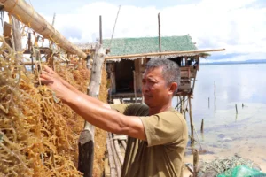 proyecto-social-fundacio-codespa-secado-algas-filipinas